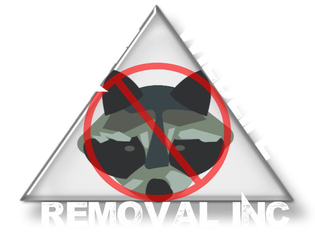 Triangle Wildlife Removal (919) 661-0722 Raleigh, NC