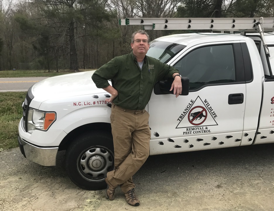 picture of bat removal Raleigh NC technician 