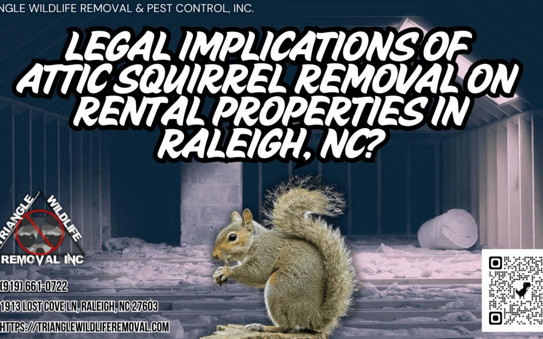 What Are the Legal Implications of Attic Squirrel Removal on Rental Properties?