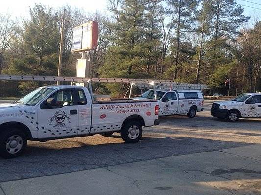triangle wildlife removal team