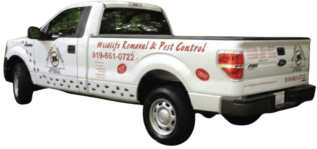 Triangle Wildlife Removal Truck