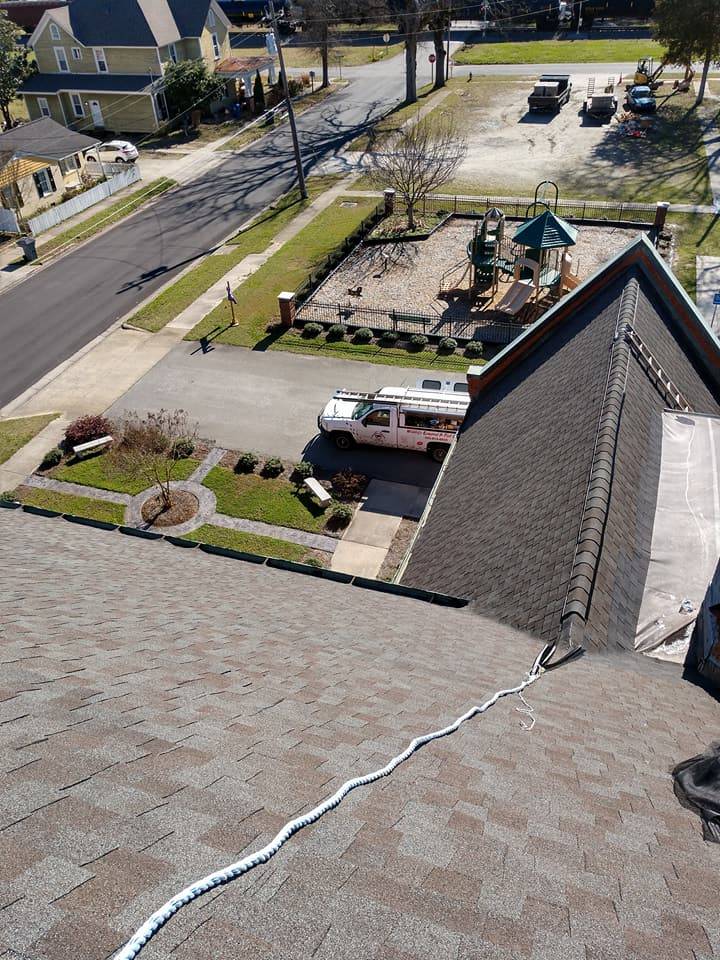 triangle wildlife removal working from heights on roof