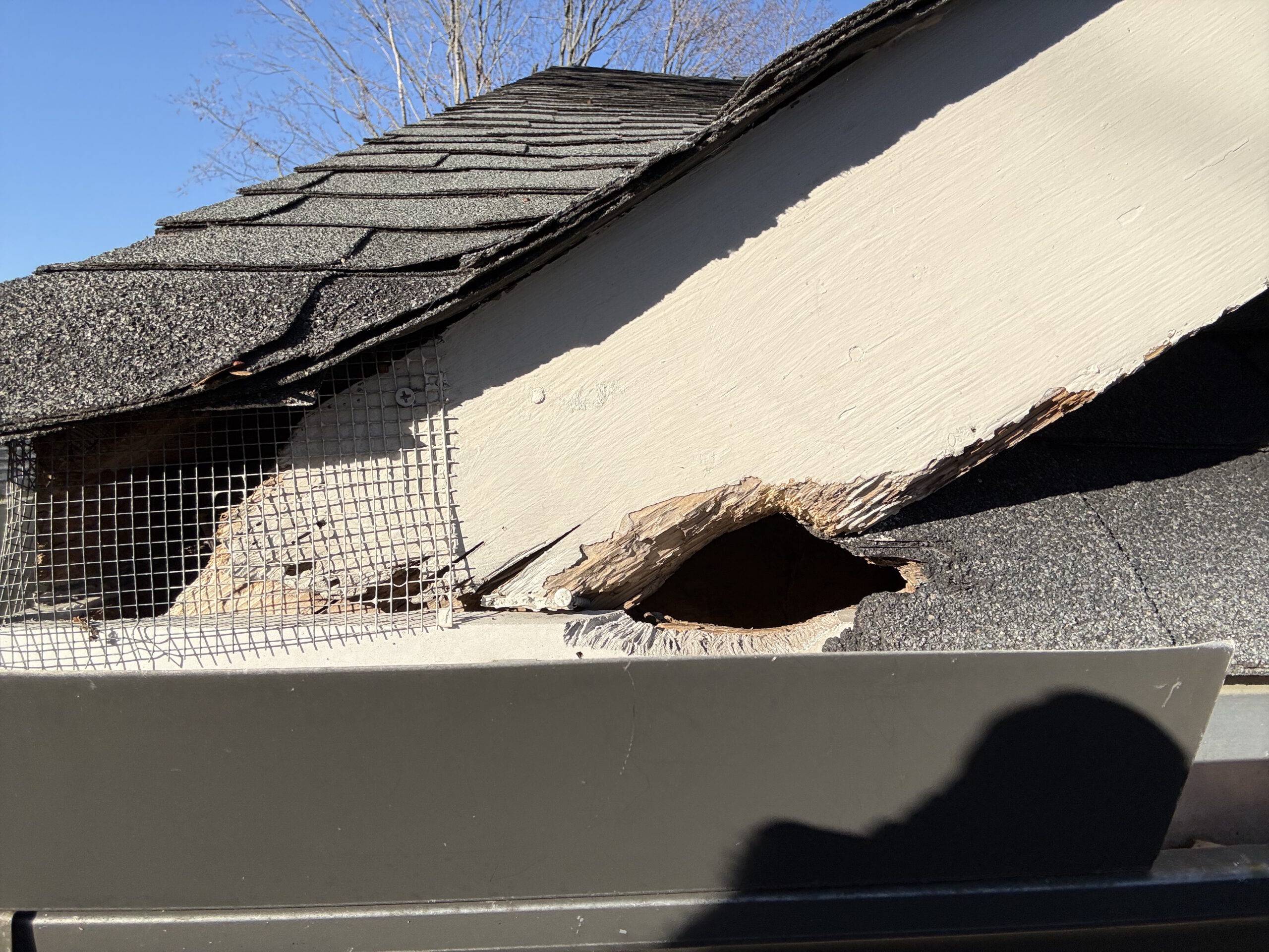 animal damage repair Eno